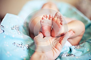 Baby feet with partial view of adult`s hand on blue blanket