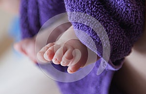 Baby feet in purple towel