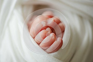 Baby feet. The tiny foot of a newborn in soft selective focus. Image of the soles of the feet.