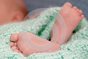 Baby Feet Up Close