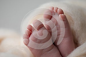 Baby feet on a white background, baby`s life, the baby in the crib, a blank sheet