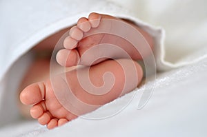 Baby feet in a white towel