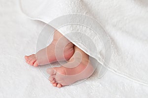 Baby feet in a white towel