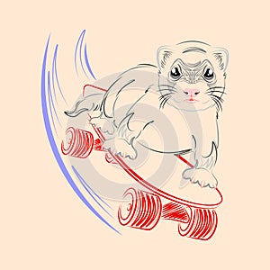 Baby ferret on skateboard vector