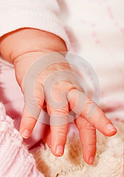 Baby fingers