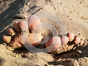 Baby fingers in the sand.Stuck baby feet in sand on sea beach on sunny day.Children`s toes in the sand close-up