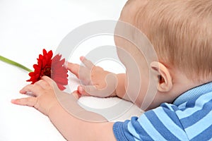 Baby with flower on white bed