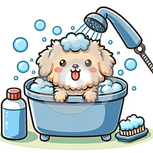 baby Fluffy dog having a bath