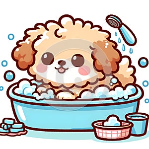 baby Fluffy dog having a bath