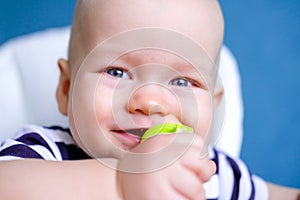 Baby food. Close up little smiling caucasian child with nibbler fruit tracker in mouth eating healthy food. Fresh photo