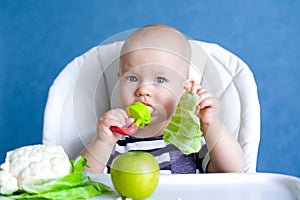 Baby food. Close up little smiling caucasian child with nibbler fruit tracker in mouth eating healthy food. Fresh photo