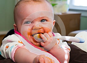 Baby Food Introduction