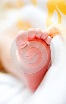 Baby foot photo