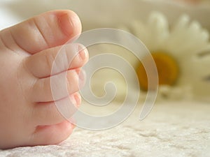 Baby foot