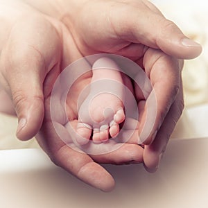 Baby foot in adult male hands.