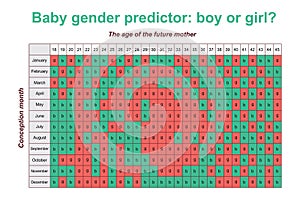 Baby gender predictor. Boy or girl.