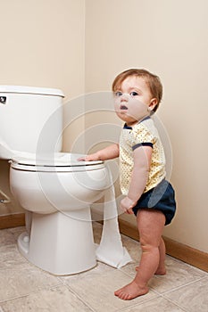 Baby getting into toilet paper