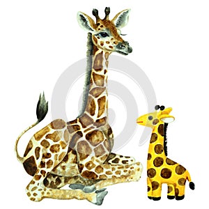 Baby giraffe and toy camelopard, watercolor photo