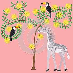 The baby giraffe is beside the tree of acacia blossoms, the bird