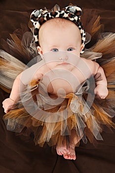 Baby Girl in Animal TuTu