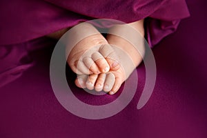 Baby girl feet on raspberry background, closeup of barefeet, maternity and babyhood concept