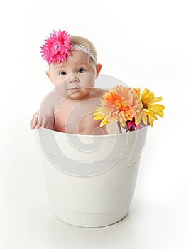 Baby girl in a flower pot