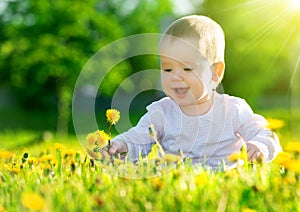 Baby girl on a green meadow with yellow flowers dandelions on th