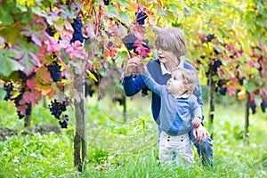 Baby girl and her cute brother in sunny vine yard