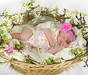 Baby girl inside of basket with spring flowers.