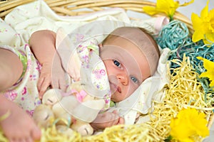 Baby girl inside of basket with spring flowers.