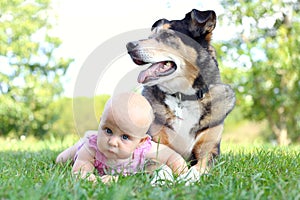 Baby Girl Laying Outside with Pet German Shepherd Dog