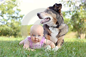 Baby Girl Laying Outside with Pet German Shepherd Dog