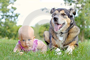 Baby Girl Laying Outside with Pet German Shepherd Dog