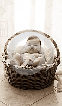 Baby girl in moses basket