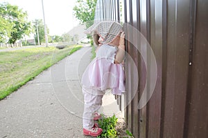 Baby girl peeping through hole in fence. Child looking