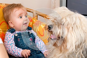 Baby girl with pet dog