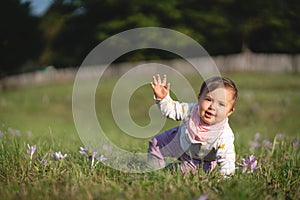Baby Girl Playing in the Grass Field