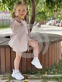 baby girl portrait sitting on the bench in