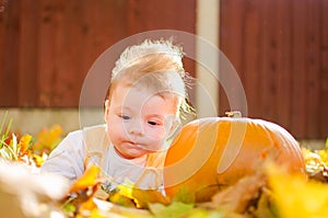 Baby girl with pumpkin