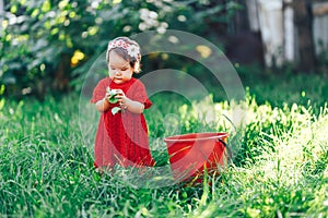 Baby girl in red dress eating pear in summer garden near red bucket