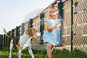 Baby girl running with beagle dog in backyard in summer day. Domestic animal with children concept