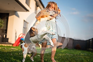 Baby girl running with beagle dog in garden on summer day. Domestic animal with children concept