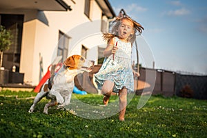 Baby girl running with beagle dog in garden on summer day. Domestic animal with children concept