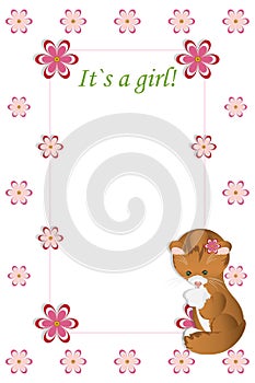 Baby girl shower card.Arrival card with place for your text. White floral background with cat. Small pink flowers,cut from paper.