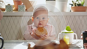 A baby girl sits on a baby chair at a table in the kitchen holding a large American cookie.