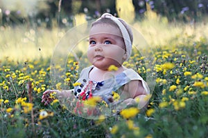 Baby girl sitting on the grass with dandelion flowers.