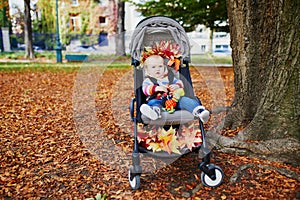 Baby girl sitting in stroller with red maple leaves