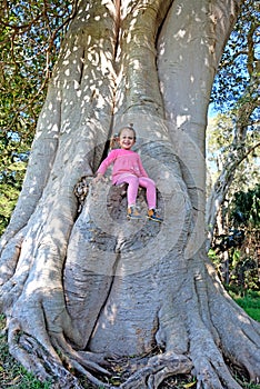 Baby girl sitting on a trunk of a huge tree in Kurnell area, Australia. She is happy and smiling