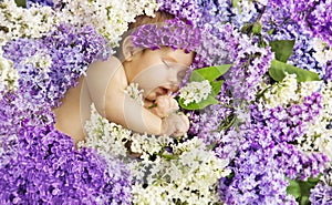 Baby Girl Sleep in Lilac Flowers, Sleeping Newborn Child photo
