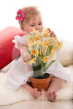 Baby girl studi daffodils flowers photo